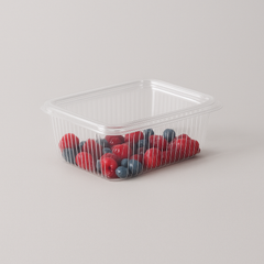 Cofanetto Salvaliquidi 1000 cc