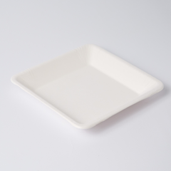 Piatto BIO in polpa quadrato 20x20 cm